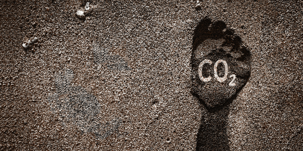 image show a footprint in the sand with 'Co2' inside it